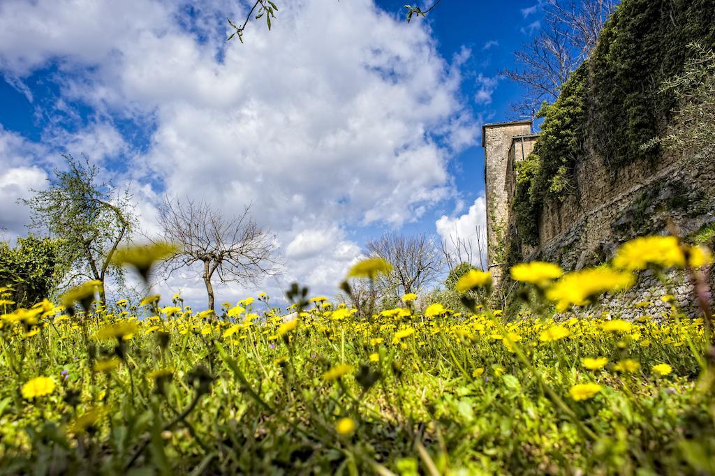 Il Falconiere Villa Vicalvi Exterior photo